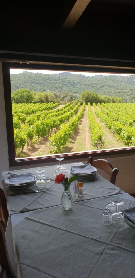 Agriturismo Vermentino Monti Zewnętrze zdjęcie