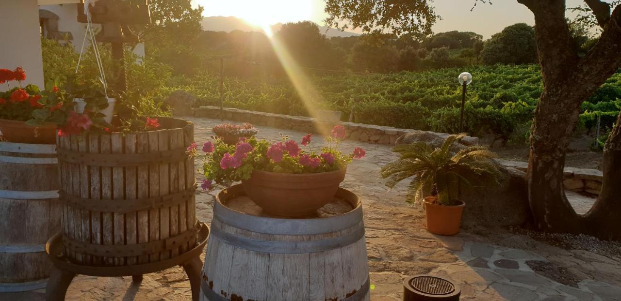 Agriturismo Vermentino Monti Zewnętrze zdjęcie