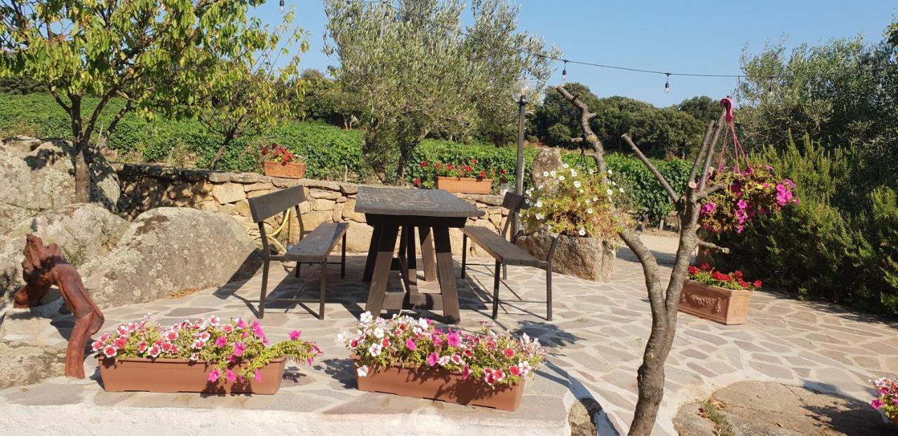 Agriturismo Vermentino Monti Zewnętrze zdjęcie