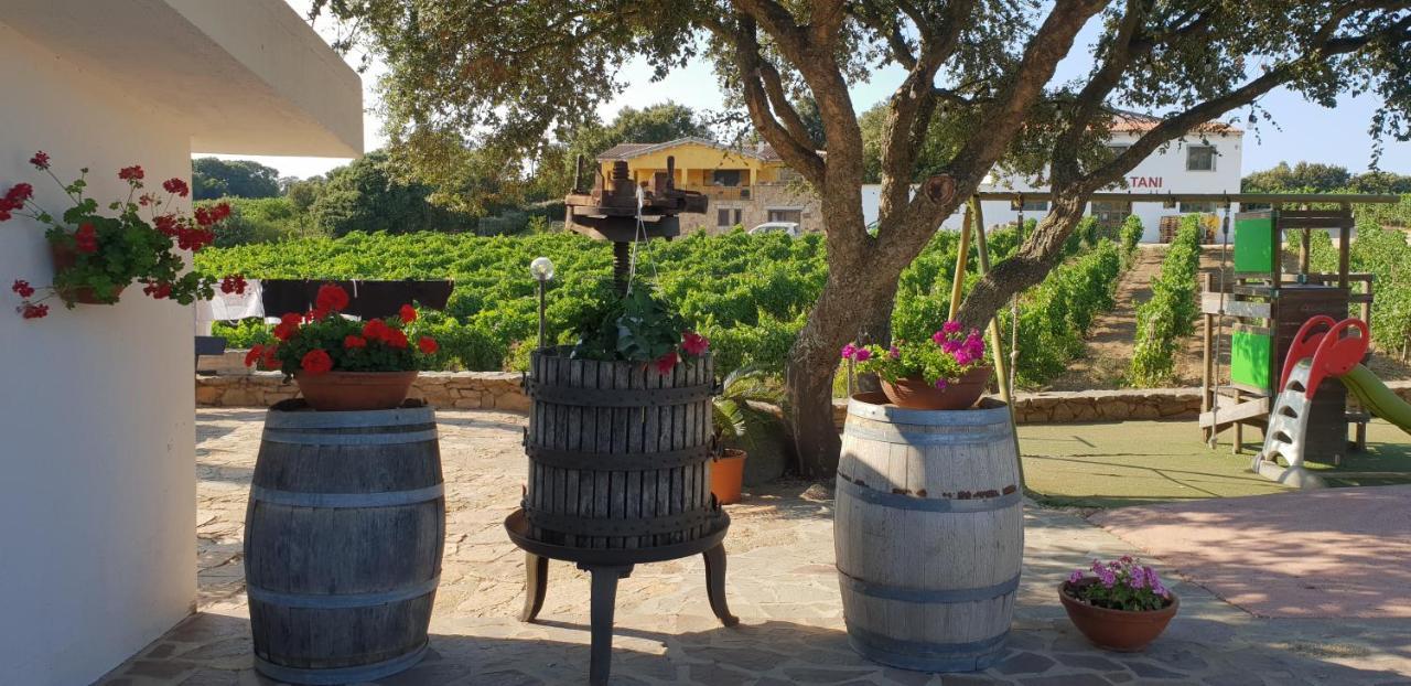 Agriturismo Vermentino Monti Zewnętrze zdjęcie